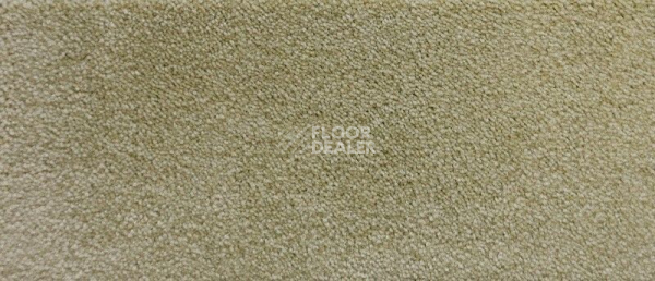 Ковролин Radici Lord Lime 245C фото 1 | FLOORDEALER